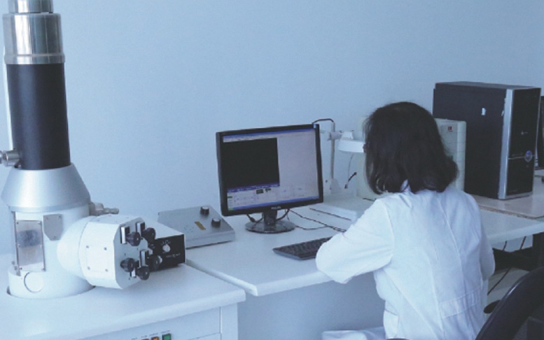 走査型電子顕微鏡 